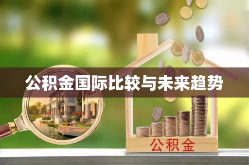 宜黄公积金国际比较与未来趋势