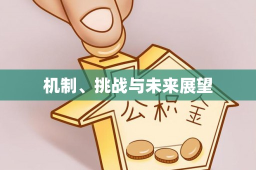 宜黄机制、挑战与未来展望